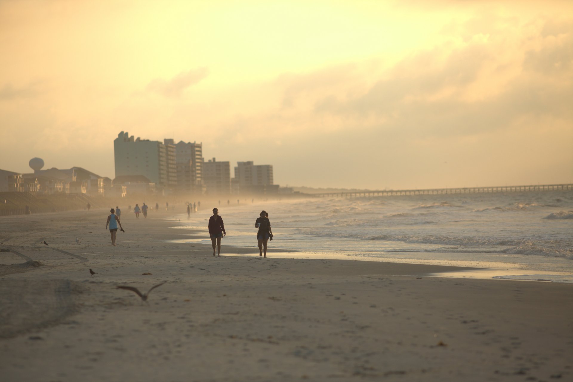 NORTH MYRTLE BEACH SC visual data 4